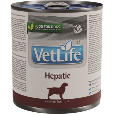 Farmina Vet Life Hepatic Mokra Karma dla Psów 300g - Wsparcie Funkcji Wątroby Farmina Vet Life Hepatic Mokra Karma dla Psów 300g - Wsparcie Funkcji Wątroby