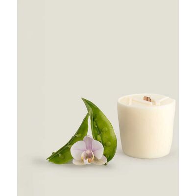 ART Wkład uzupełniający Orchid & Green Pea do świecy Now You ART Wkład uzupełniający Orchid & Green Pea do świecy Now You