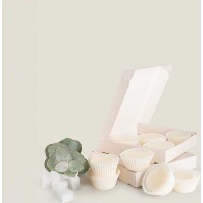 ART Wosk zapachowy Mint Candy pudełko 9x15g ART Wosk zapachowy Mint Candy pudełko 9x15g