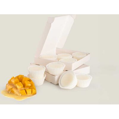 ART Wosk zapachowy Mango Lassi pudełko 9x15g ART Wosk zapachowy Mango Lassi pudełko 9x15g