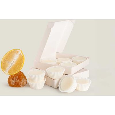 ART Wosk zapachowy Citrus Amber pudełko 9x15g ART Wosk zapachowy Citrus Amber pudełko 9x15g