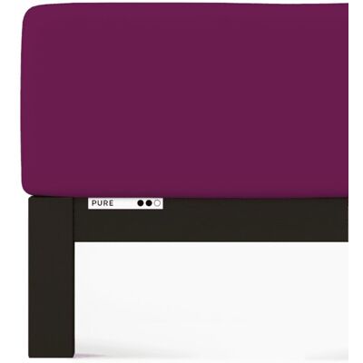 Prześcieradło Schlafgut Pure 140x190-160x220 cm Purple Deep -160x220 - L (542) bawełna Prześcieradło Schlafgut Pure 140x190-160x220 cm Purple Deep -160x220 - L (542) bawełna