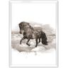 Dekoria Plakat Horse - Size: 50 x 70 cm