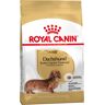 7,5kg Dachshund Adult Royal Canin ração cão