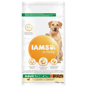 IAMS 12kg Adult Large frango Vitality IAMS ração cães
