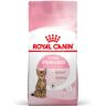 2kg Kitten Sterilised Royal Canin ração para gatos