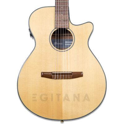Ibanez AEG50N-NT Nylon Guitarras clássicas eletrificadas Ibanez AEG50N-NT Nylon Guitarras clássicas eletrificadas