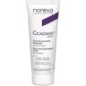 Noreva Cicadiane Creme Reparador 40ml