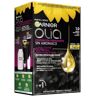 Garnier Olia Preto Ébano 1.0