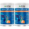 Arkopharma ArkoFlex Colagénio 390G x2