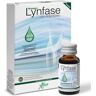 Lynfase 12 frascos