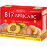 Terezia B17 Apricarc 60 cápsulas