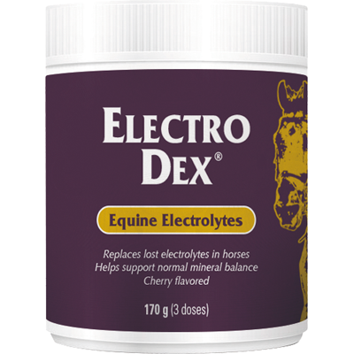 Vetnova Electro Dex Sais Solúveis 170g Vetnova Electro Dex Sais Solúveis 170g