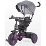 Toyz Buzz Triciclo Roxo