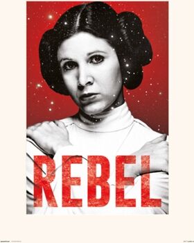 Star Wars Print 30X40 Cm Leia Rebel