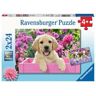 Ravensburger Puzzle Me And My Pal 24 Peças Animais