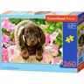 Castorland Puzzle Cute Dachshund (260 Peças)