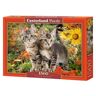 Castorland Kitten Buddies 1500 Pcs Puzzle 1500 Unidades