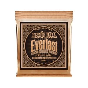 Ernie Ball Jogo de Cordas Guitarra Acústica Everlast (.012 - .016 - .024 - .032 - .042 - .054 - Bronze)