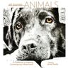 F&W Publications Inc Livro art journey animals and wildlife de jamie markle (inglês)