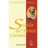 Livro Subida Del Monte Carmelo. (Mcar) de San Juan De La Cruz (Espanhol)