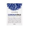 Livro Coronavirus:Direitos dos Cidadaos Acesso a Justica de CRUZ JUNIOR, ADAMOR FERREIRA; TATUCE, FE (Português-Brasil)