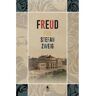 Livro Freud Nova Fronteira de ZWEIG, STEFAN (Português-Brasil)