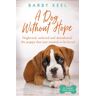 Livro a dog without hope de barby keel (inglês)