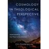 Livro cosmology in theological perspective - understanding our place in the universe de olli-pekka vainio (inglês)