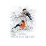 S/marca Livro Winter Birds de Lars Jonsson