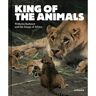 Hirmer Verlag Livro king of the animals de edited by ilka voermann edited by philipp demandt (inglês)