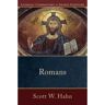 Livro romans de scott w. hahn,curtis mitch,peter williamson,mary healy (inglês)