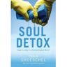 Zondervan Livro soul detox de craig groeschel (inglês)