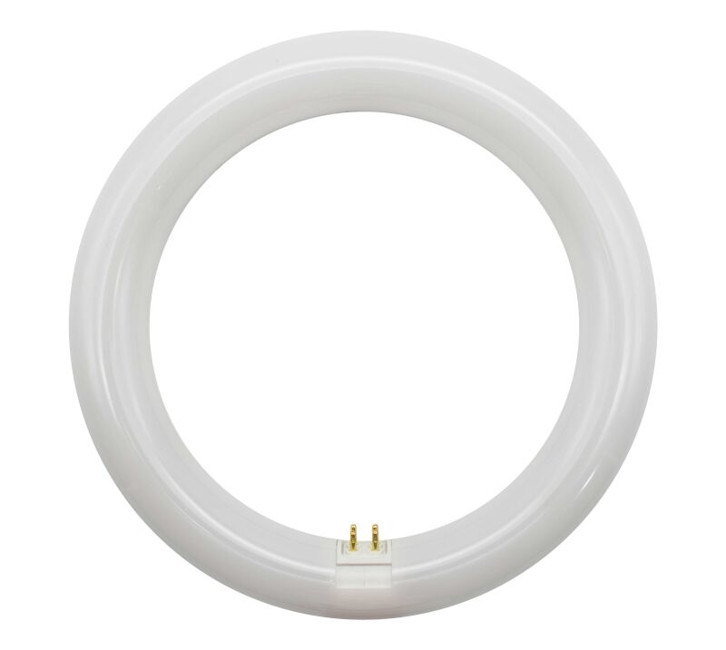 llp Lampada Led Circular 20w 6500k