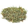 Chás do Mundo ® Losna Absinto, Planta (Artemisia absinthium L.)