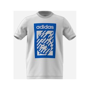 Adidas T-shirt para Mulher NIKE Cami W Tee Ntl Icon Preto (XL)
