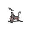 Ener-J Bicicleta Spinning Ultra-quiet Exercise Bike Indoor