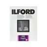 Ilford Multigrade Rc Deluxe 1M 10X15 Cm100 Sheets