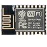 Slowmoose Placa de Desenvolvimento Mini Wi-Fi 4 Milhões de BytesEsp-12E