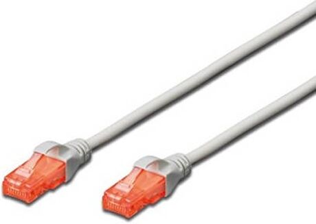 Ewent Cabo de Rede (RJ45 - 2 m - Cinzento)