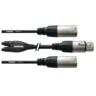 Cordial Adaptador CFY 0.3 FMM (XLR - XLR - 30 cm - Preto)