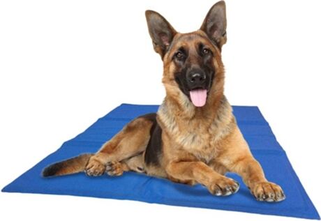 @pet Tapete para Cães Refrescante (Azul - 50x90cm - Gel Atóxico)