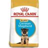 Royal Canin Ração para Cães German Shepherd Puppy (3 Kg)