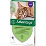 Bayer Pipetas Desparasitantes para Gato Advantage (4x0,8ml)