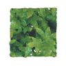 Zoo Med Adorno para Répteis Congo Ivy (Verde - 55 cm - Plástico)