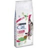 Purina Ração Seca Cat Chow Urinary (15kg)