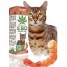 Euphoria CBD Óleo para Gato Sabor Camarão 3%, 300mg (10 ml)