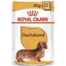 Royal Canin Ração para Cães Dachshund (12 x 85 g - Húmida - Adulto - Sabor: Carne)