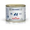 Royal Canin Canine/Feline Recovery 195Gr (HÃºmido)