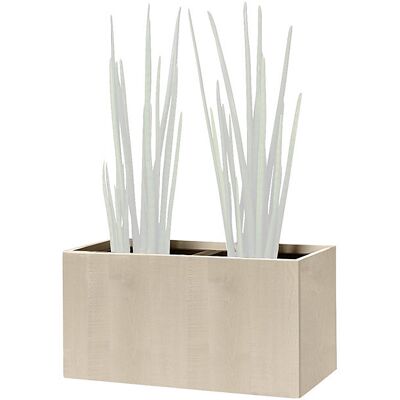 kaiserkraft Vaso, altura do joelho, para 2 plantas, decoração de ácer, Vaso, altura do joelho, para 2 plantas, decoração de ácer. Não são apenas vasos - são também divisórias, elementos de decoração e objetos de organização interior. Estas peças de mobili kaiserkraft Vaso, altura do joelho, para 2 plantas, decoração de ácer, Vaso, altura do joelho, para 2 plantas, decoração de ácer. Não são apenas vasos - são também divisórias, elementos de decoração e objetos de organização interior. Estas peças de mobili